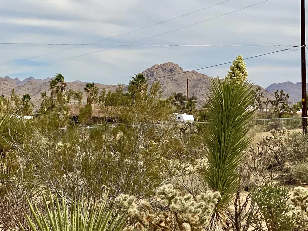 6925 Sunnyhill Road Joshua Tree, CA 92252