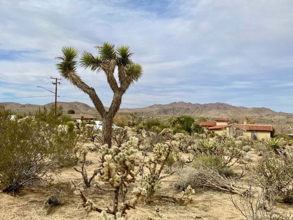 6925 Sunnyhill Road Joshua Tree, CA 92252