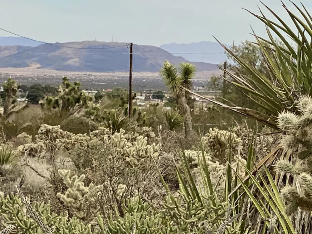 6925 Sunnyhill Road Joshua Tree, CA 92252