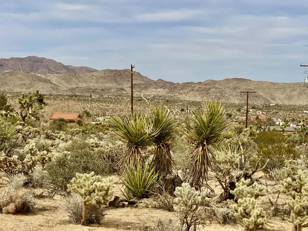 6925 Sunnyhill Road Joshua Tree, CA 92252