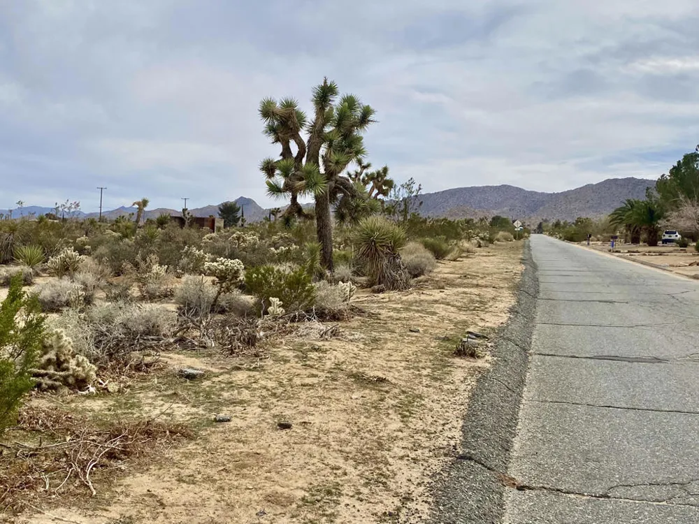6925 Sunnyhill Road Joshua Tree, CA 92252