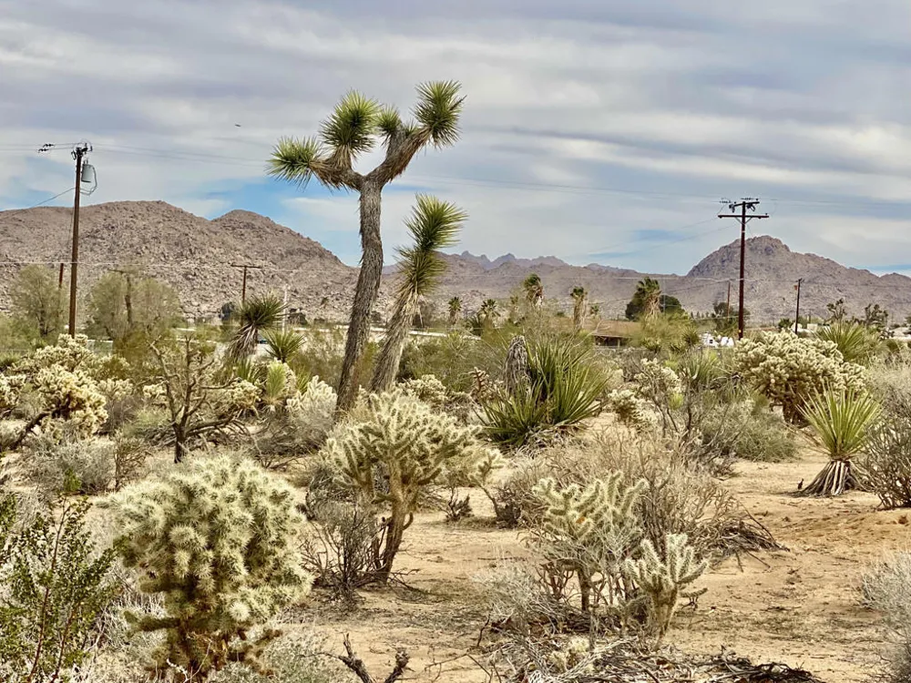 6925 Sunnyhill Road Joshua Tree, CA 92252