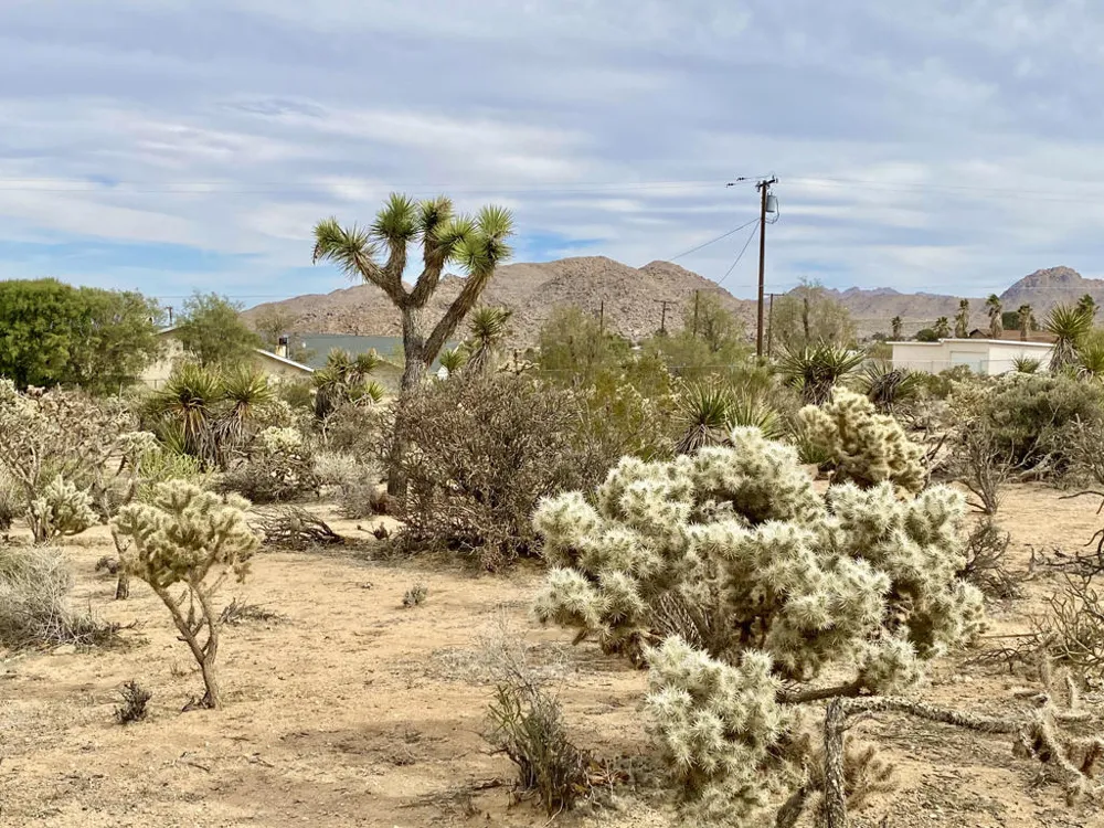 6925 Sunnyhill Road Joshua Tree, CA 92252