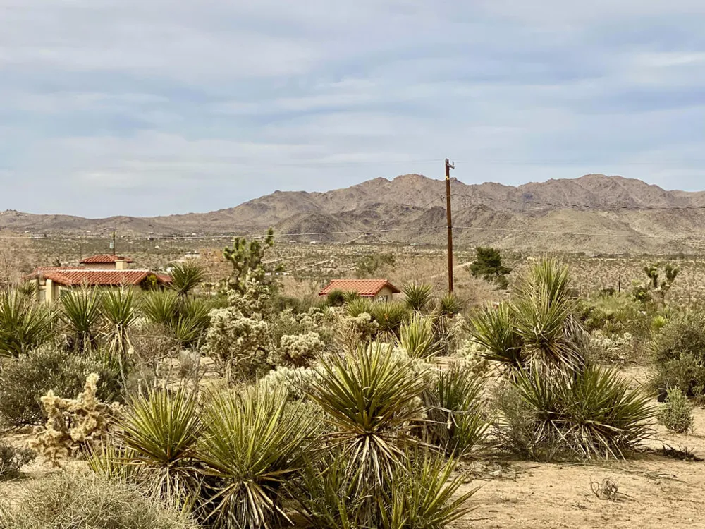 6925 Sunnyhill Road Joshua Tree, CA 92252