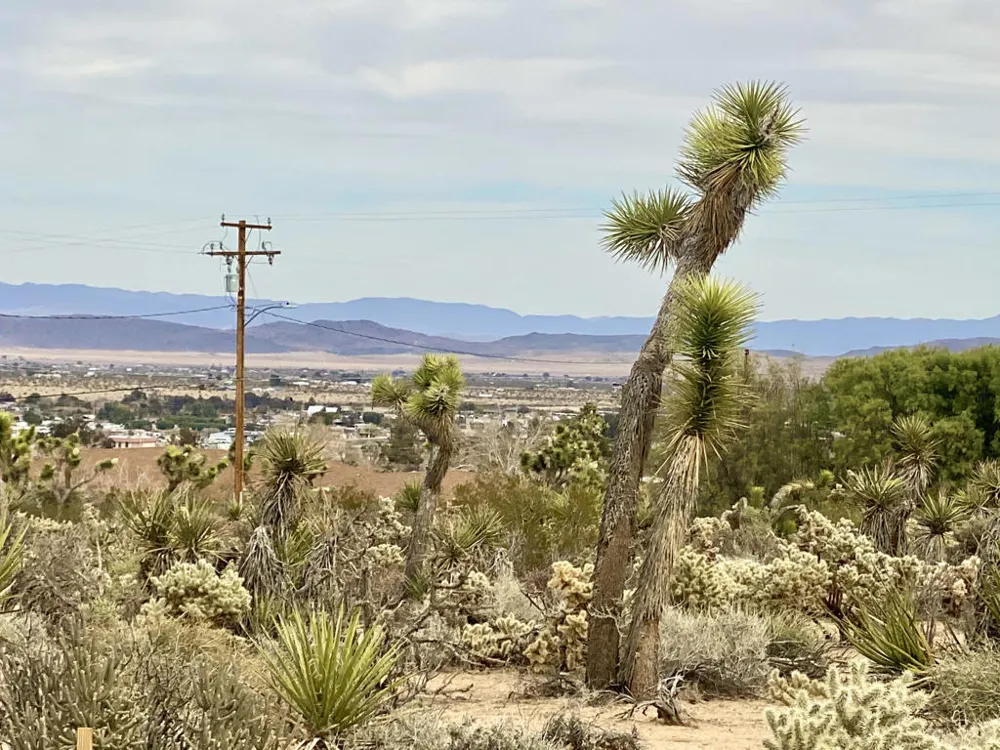 6925 Sunnyhill Road Joshua Tree, CA 92252