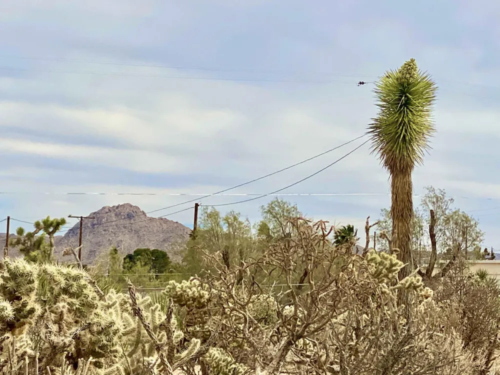 6925 Sunnyhill Road Joshua Tree, CA 92252