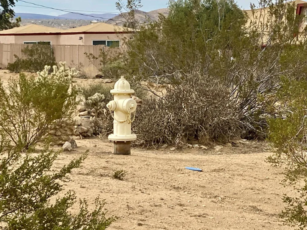 6925 Sunnyhill Road Joshua Tree, CA 92252