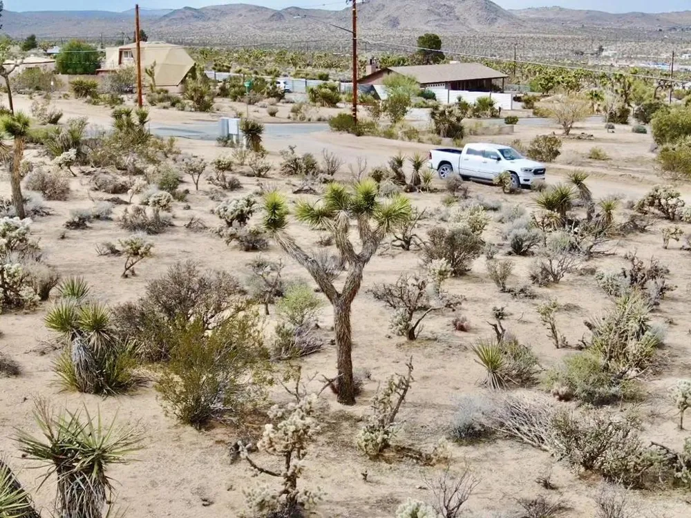 6925 Sunnyhill Road Joshua Tree, CA 92252