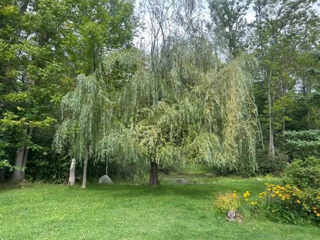 20118 Moose Point Road Grand Rapids, MN 55744