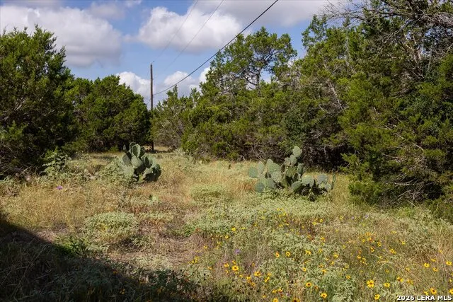 5726 W STATE HIGHWAY 46 New Braunfels, TX 78132