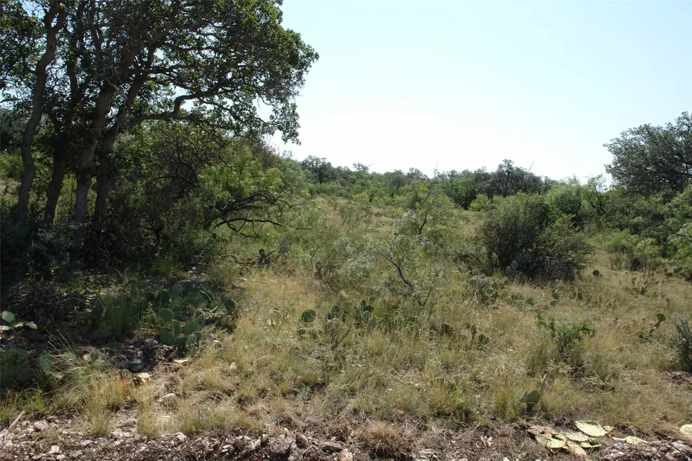 County Road 146 Melvin, TX 76825