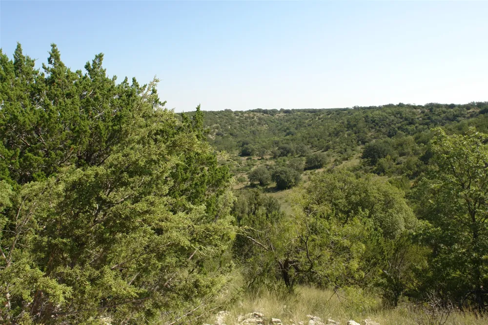 County Road 146 Melvin, TX 76825