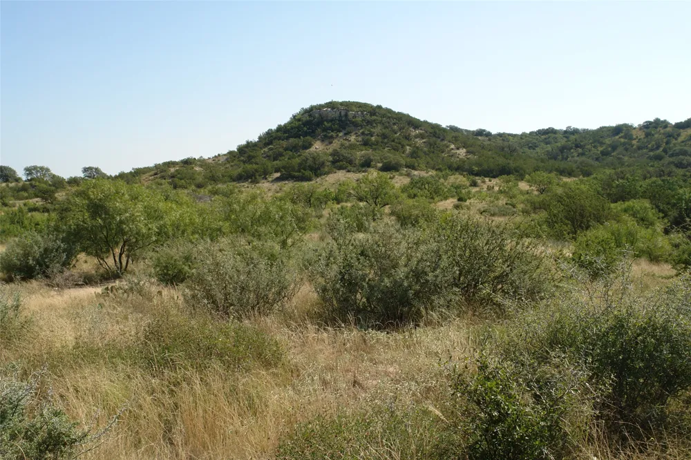 County Road 146 Melvin, TX 76825