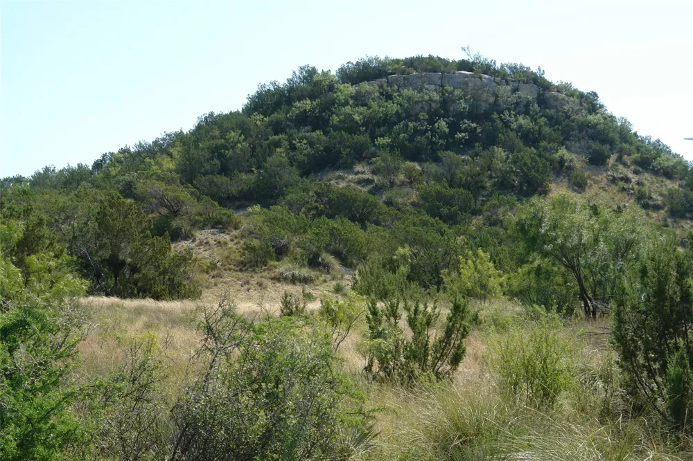 County Road 146 Melvin, TX 76825