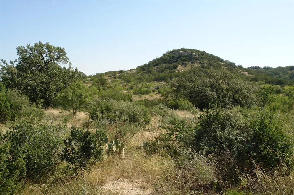 County Road 146 Melvin, TX 76825