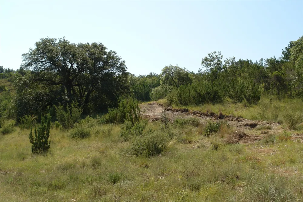 County Road 146 Melvin, TX 76825