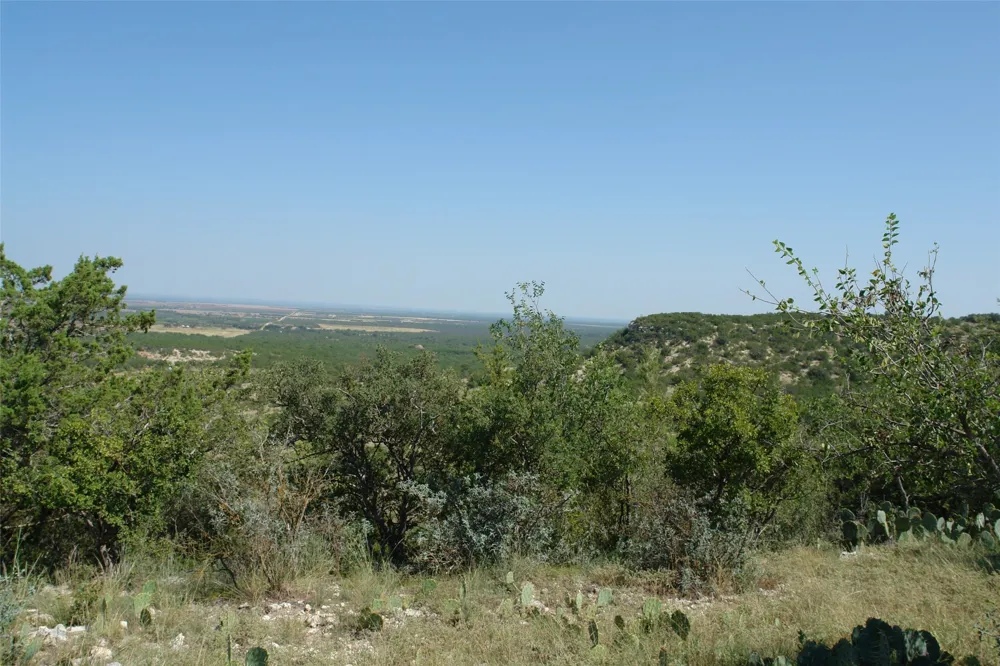 County Road 146 Melvin, TX 76825