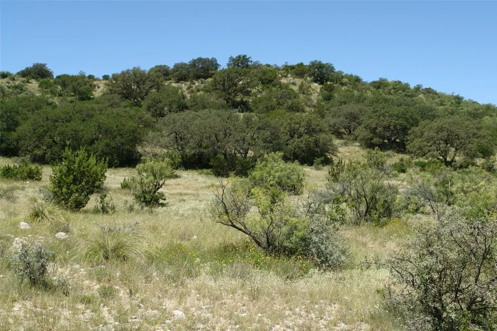 County Road 146 Melvin, TX 76825