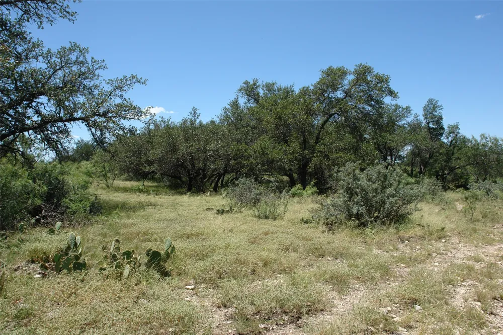 County Road 146 Melvin, TX 76825