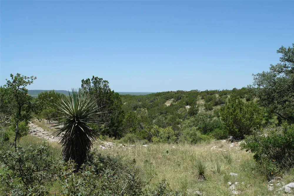 County Road 146 Melvin, TX 76825