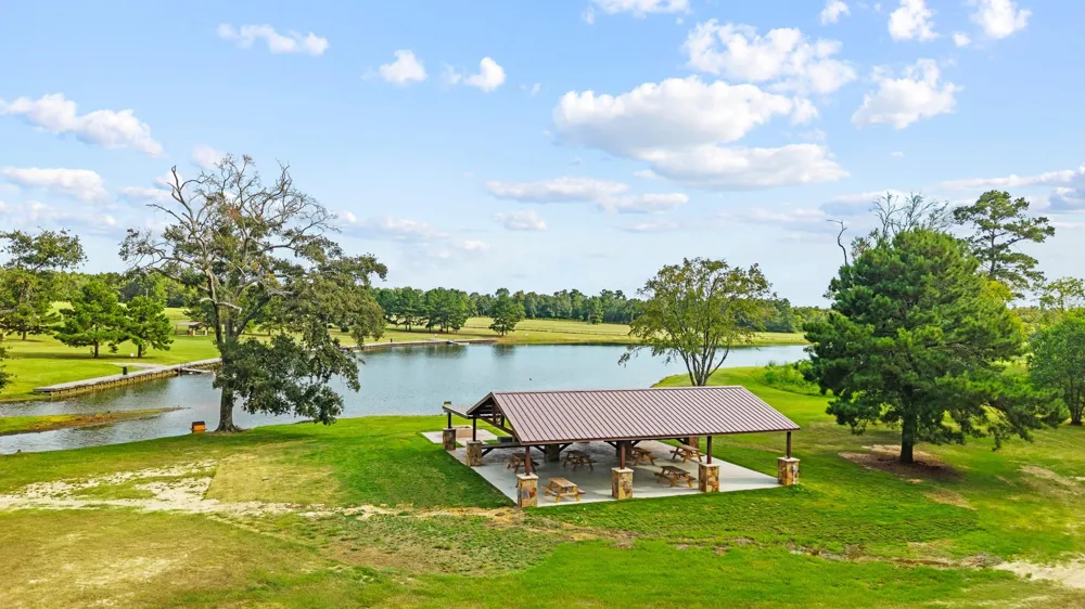 15389 Woodlife Road Willis, TX 77378