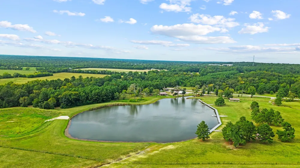 15389 Woodlife Road Willis, TX 77378
