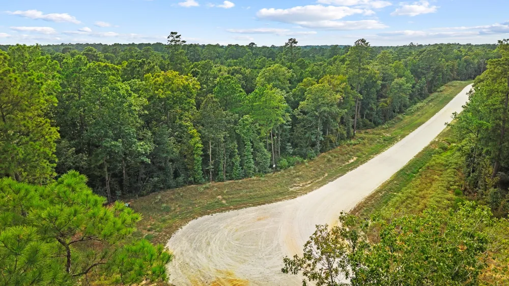 15389 Woodlife Road Willis, TX 77378