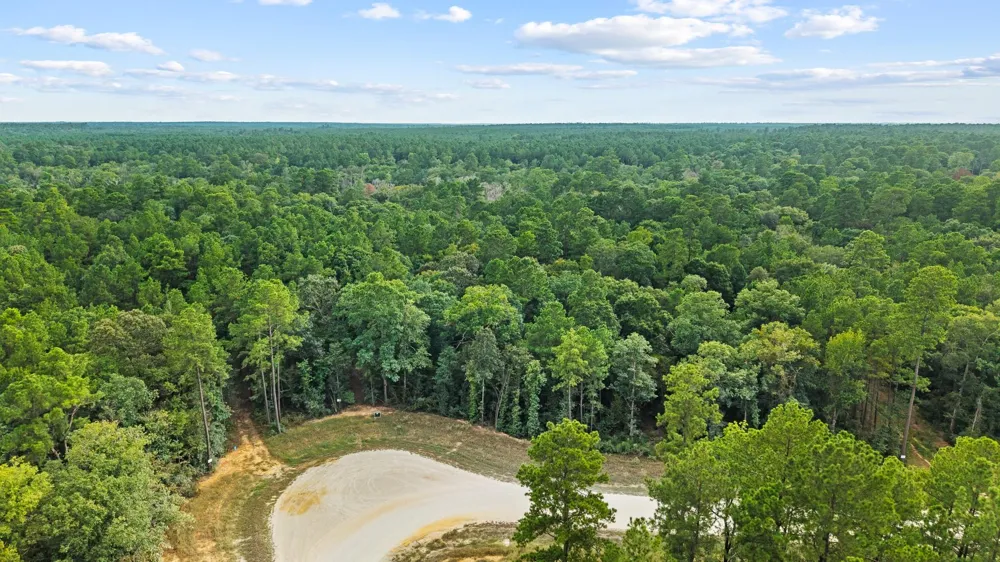 15389 Woodlife Road Willis, TX 77378