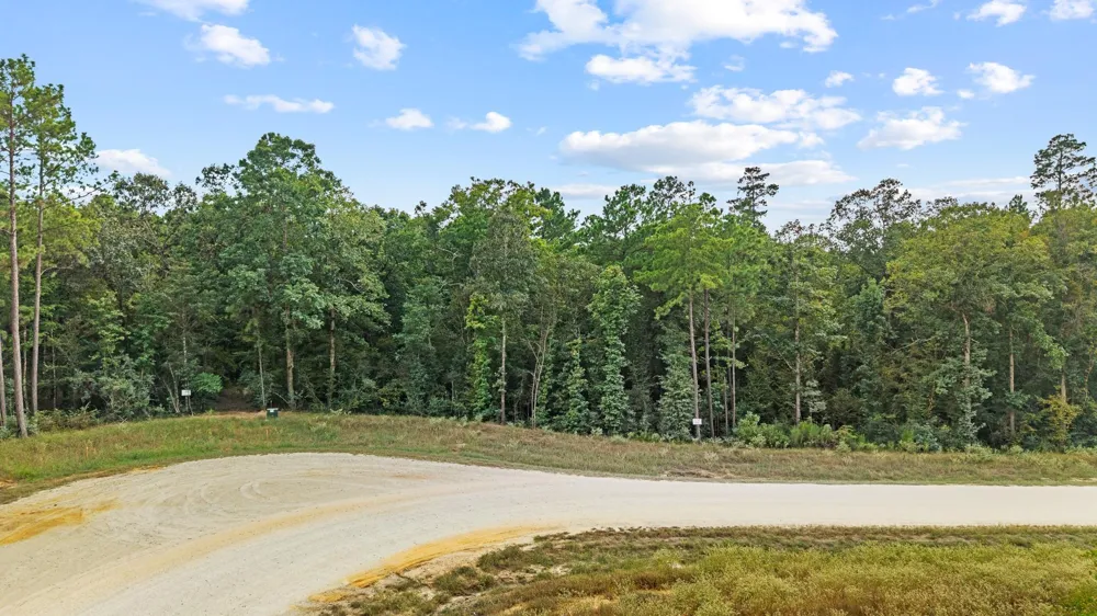 15389 Woodlife Road Willis, TX 77378