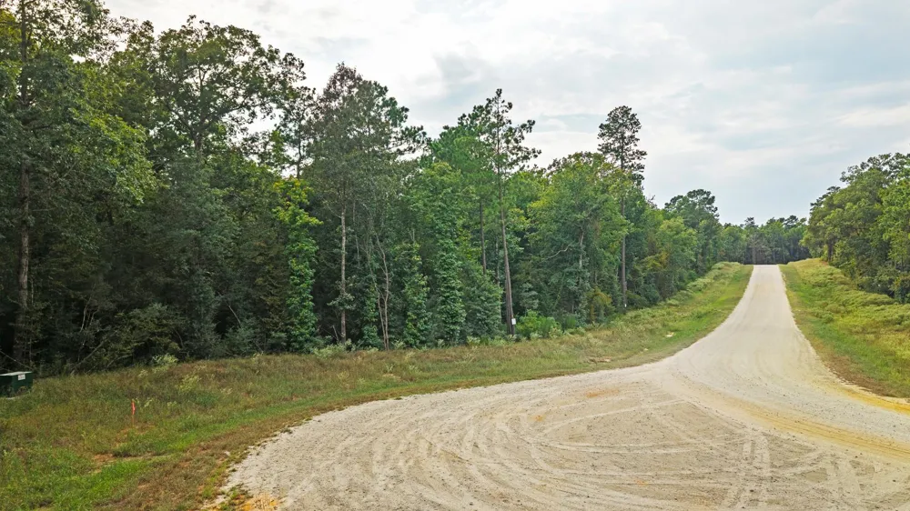 15389 Woodlife Road Willis, TX 77378