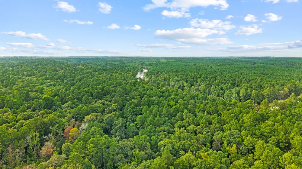 15389 Woodlife Road Willis, TX 77378