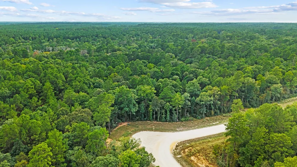 15389 Woodlife Road Willis, TX 77378