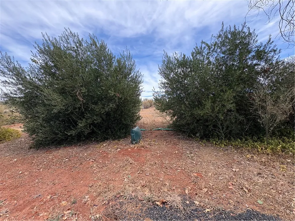 5732 Pacheco Paradise, CA 95969