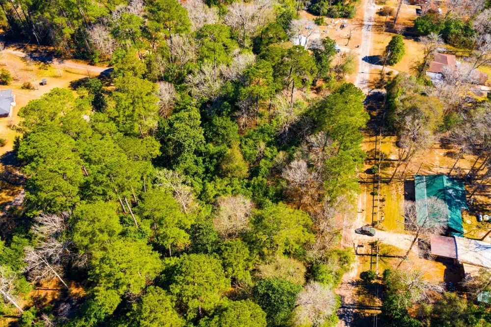 26 Buckingham Drive Ivanhoe, TX 75979