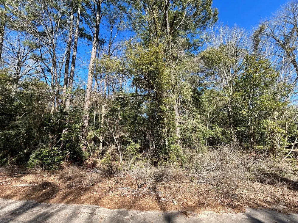 26 Buckingham Drive Ivanhoe, TX 75979