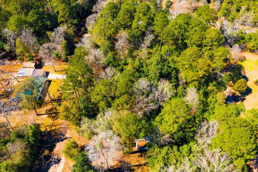 26 Buckingham Drive Ivanhoe, TX 75979