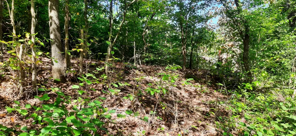 0 Tate Drive Buchanan, TN 38222