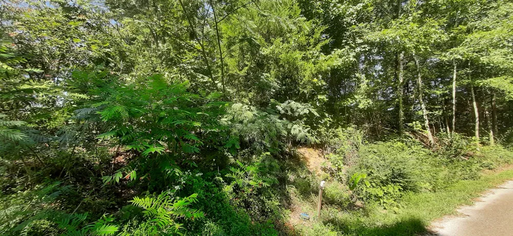 0 Tate Drive Buchanan, TN 38222
