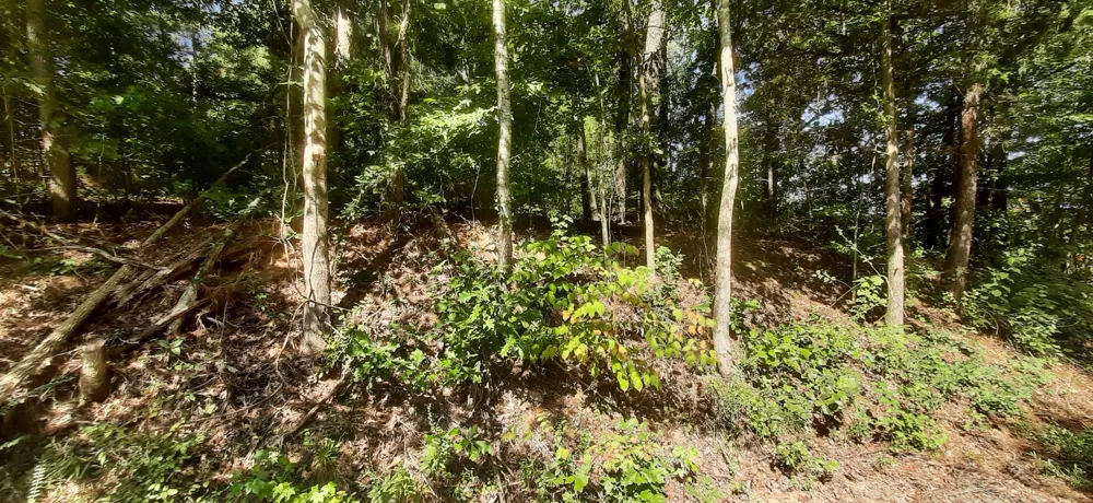 0 Tate Drive Buchanan, TN 38222