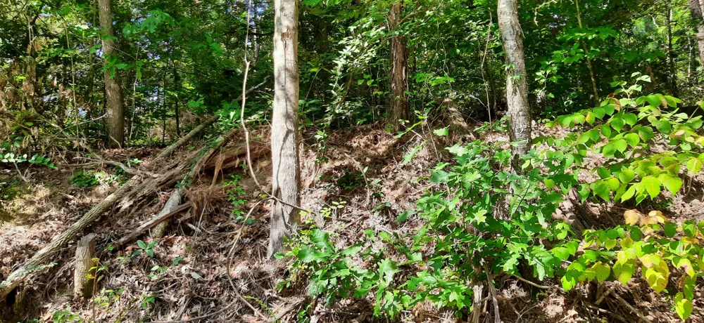 0 Tate Drive Buchanan, TN 38222