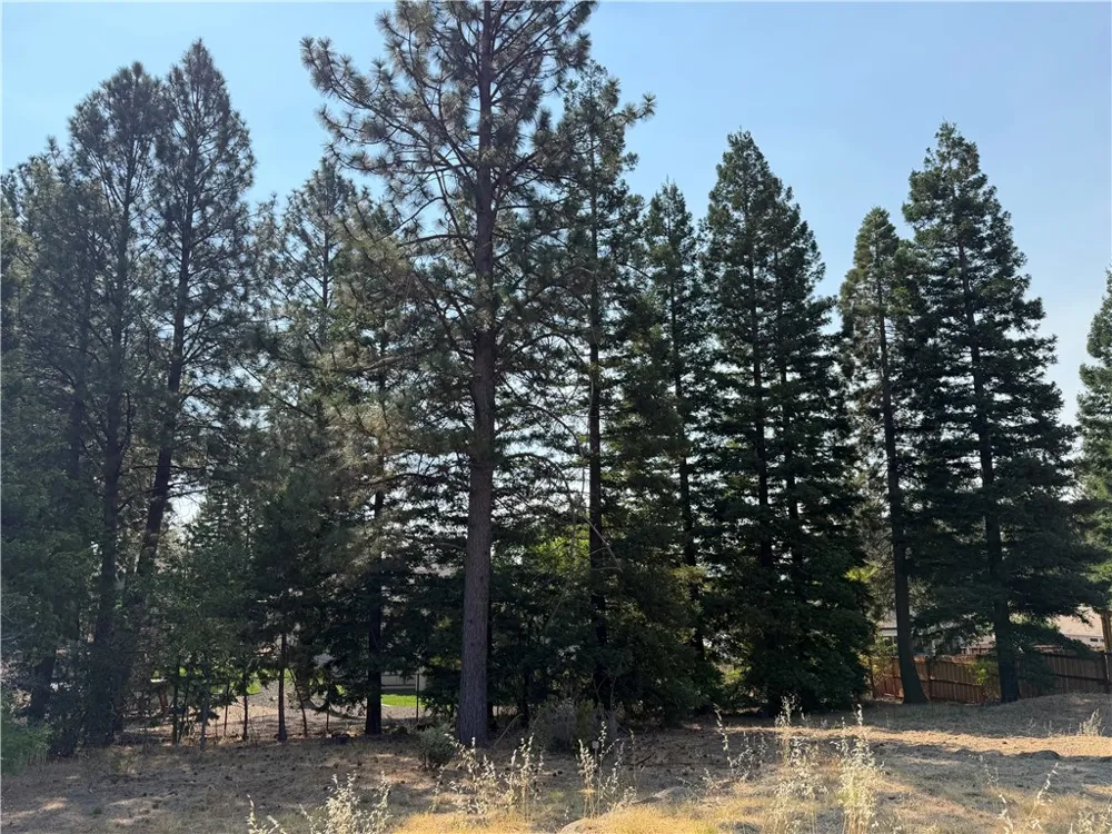 5292 Harrison Paradise, CA 95969