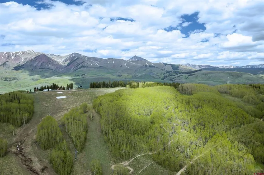 29 Prospect Drive Crested Butte, CO 81225