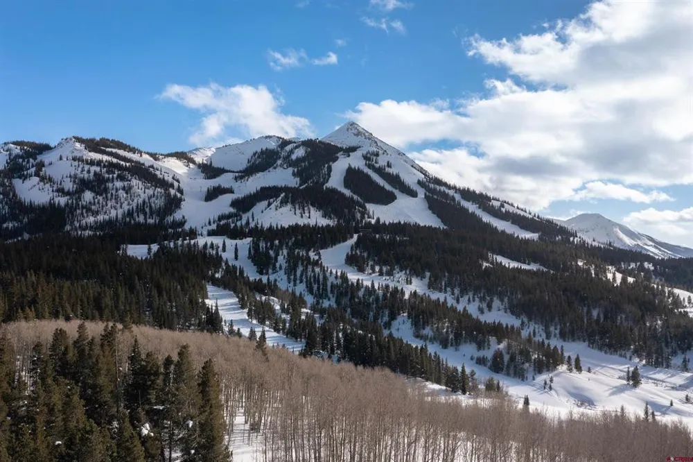 29 Prospect Drive Crested Butte, CO 81225