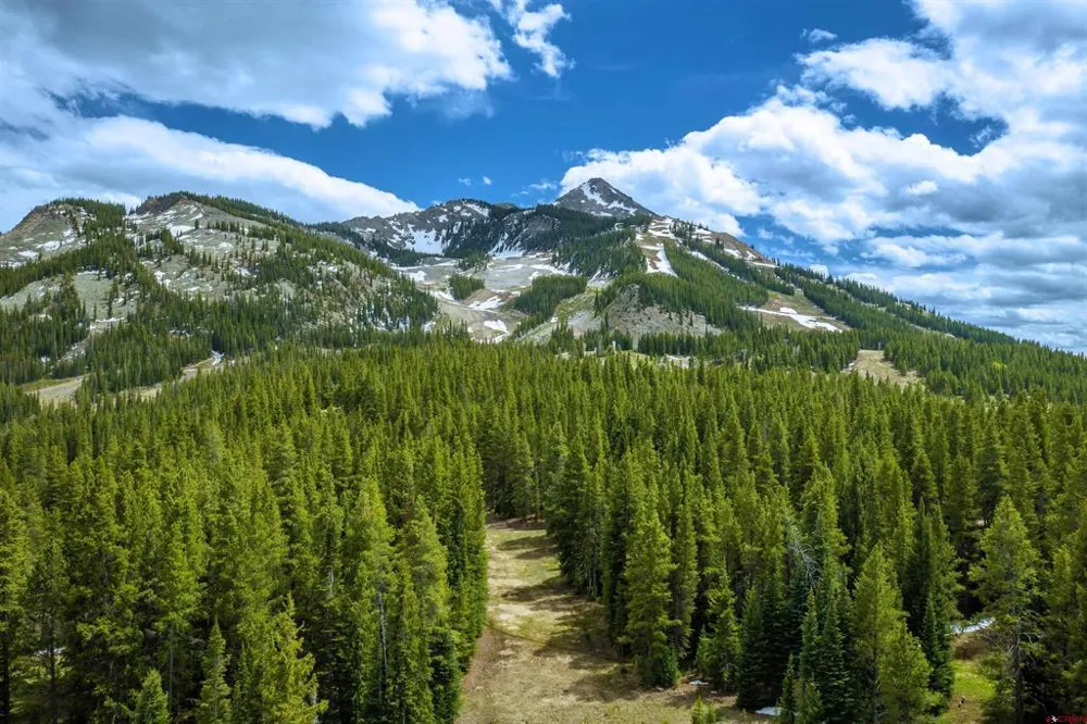 29 Prospect Drive Crested Butte, CO 81225