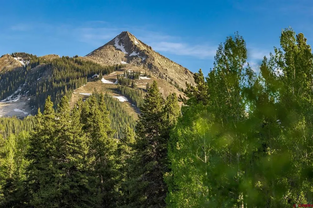29 Prospect Drive Crested Butte, CO 81225