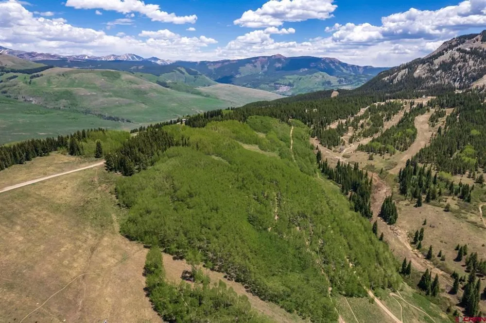 29 Prospect Drive Crested Butte, CO 81225