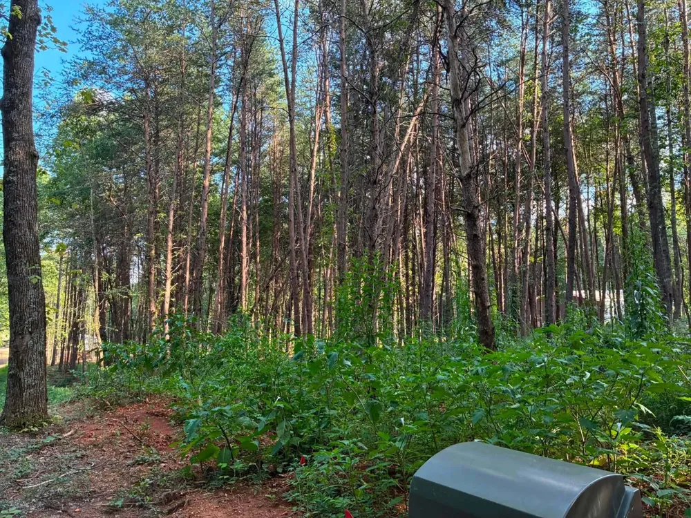 100 County Road 262 Lot 4 Niota, TN 37826