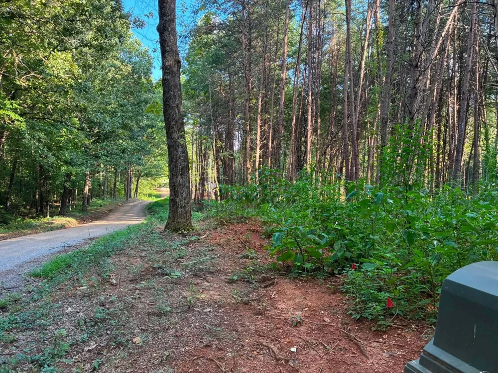 100 County Road 262 Lot 4 Niota, TN 37826