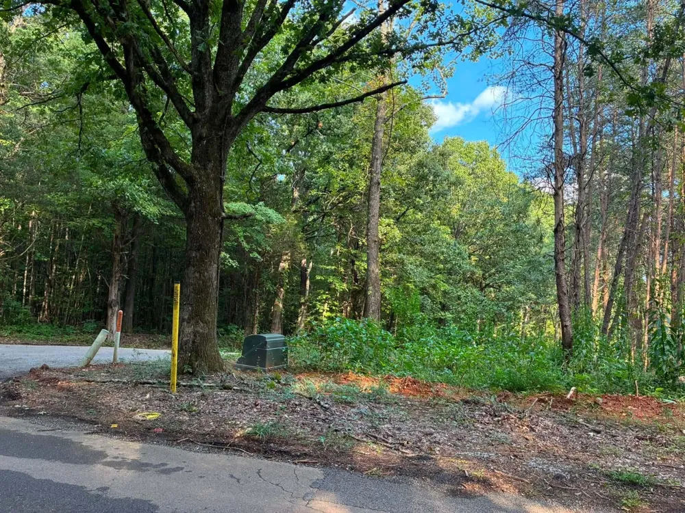 100 County Road 262 Lot 4 Niota, TN 37826