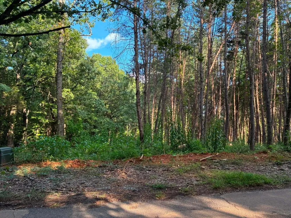 100 County Road 262 Lot 4 Niota, TN 37826